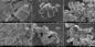 গুঁড়া সিএএস 1318-02-1 এমটিও অটোমোবাইল এক্সহস্টের জন্য সাপো -34 জেওলাইট অনুঘটক