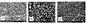 সিও অক্সিডেশন এফসিসি অ্যাডিটিভসের জন্য একটি ditionতিহ্যবাহী প্লাটিনাম ভিত্তিক প্রবর্তক